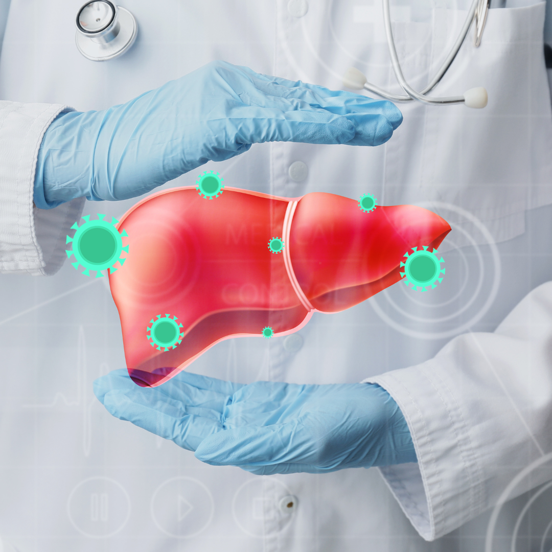 LIVER-IMG1-1.png